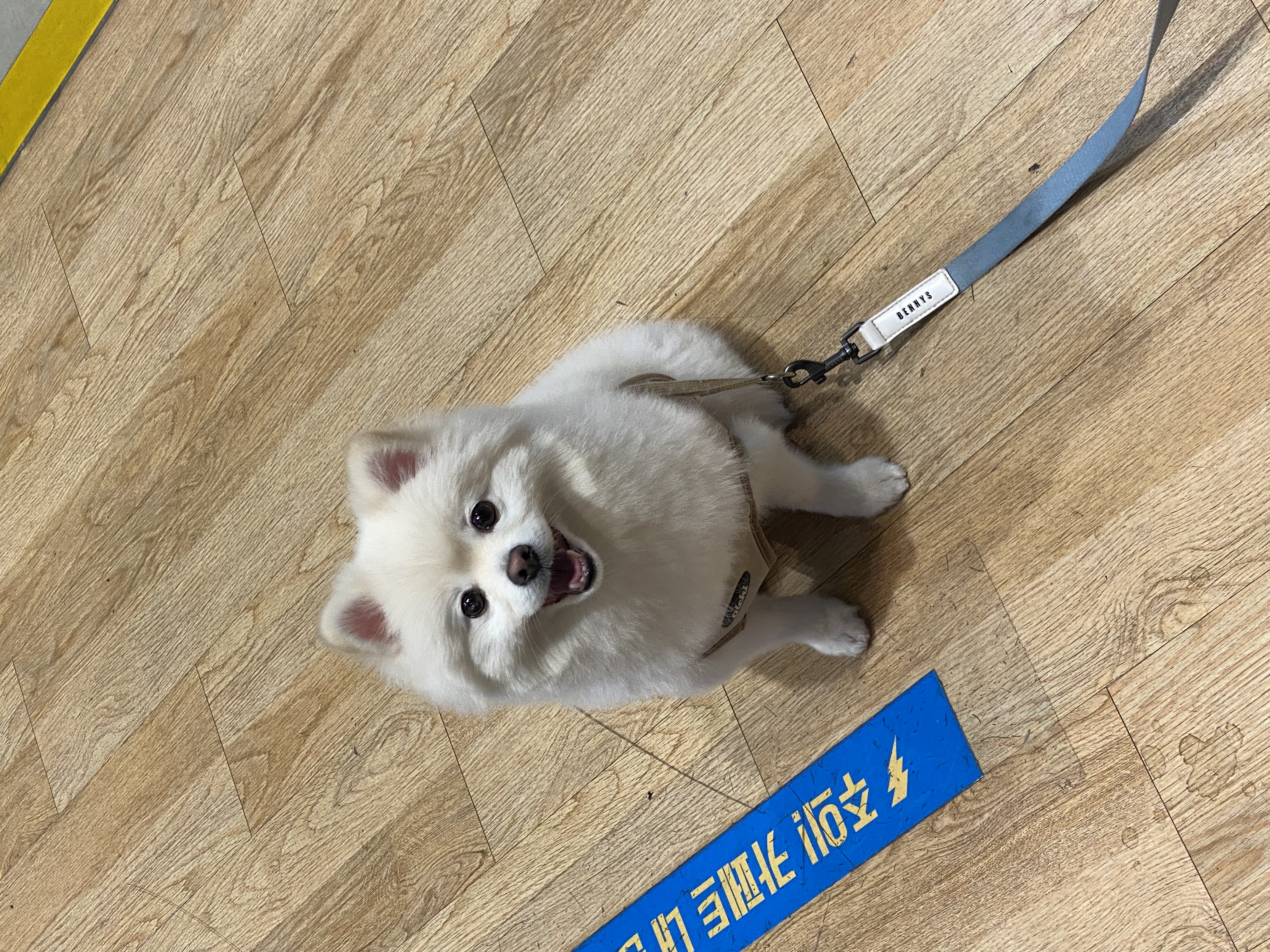 사용자 이름의 프로필 사진